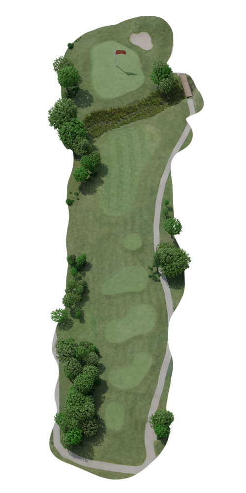 Hole 8 on its own: a tree-lined par 3 in 3D, from the tee up to the flag beyond a creek, cut out along the edge of the hole.
