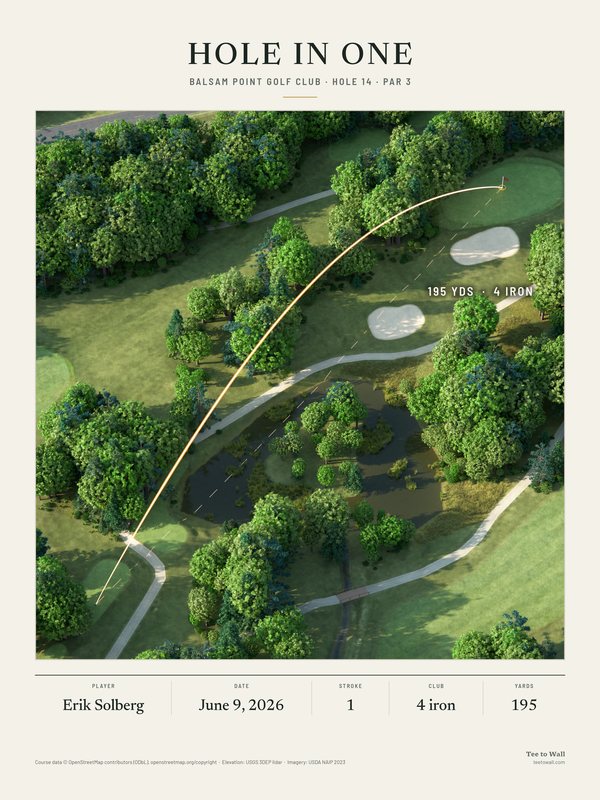 3D render print of Balsam Point hole 14, a long par 3 from high above, over a pond in the woods to a green with two bunkers, with the ball flight