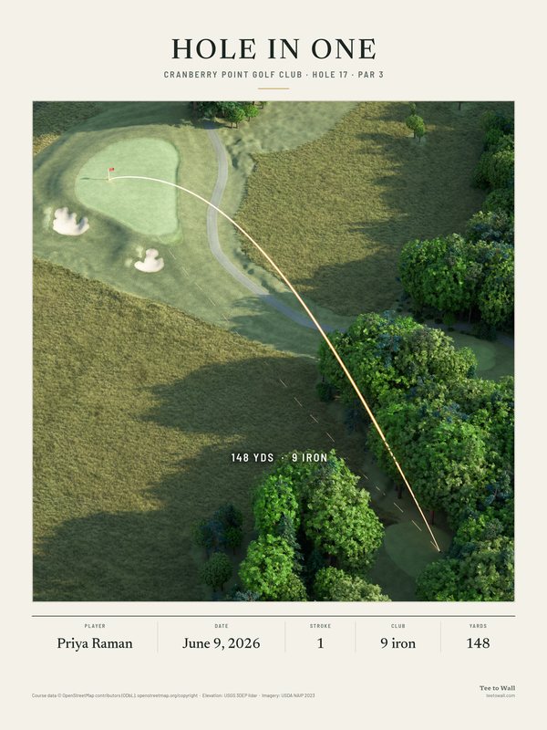3D render print of Cranberry Point hole 17, a par 3 from a tee among the trees over native long grass to a green with two bunkers, with the ball flight