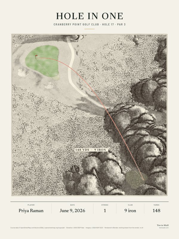 Etching of Cranberry Point hole 17, drawn from the 3D render: a par 3 from a tee among the trees over native long grass to a green with two bunkers, with the ball flight