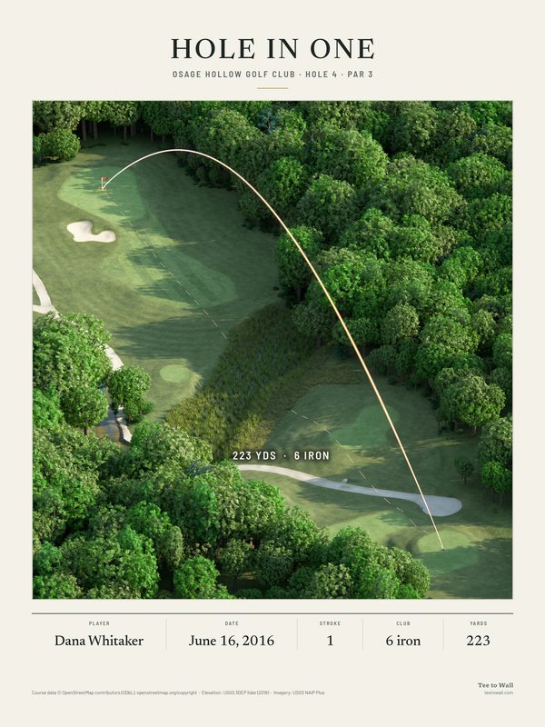 3D render print of Osage Hollow hole 4, a long par 3 from a tee cut into the woods, over a creek and long grass to the green, with the ball flight