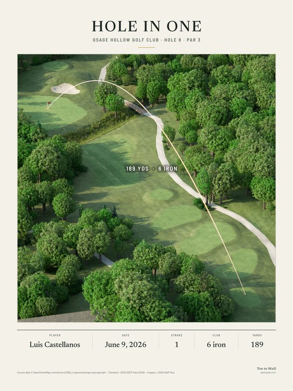 3D render print of Osage Hollow hole 8, a tree-lined par 3 across a creek, with the ball flight to the green